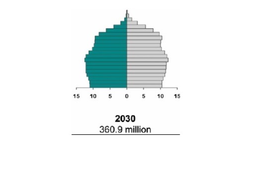 “Pyramid” of the distribution of population, by 2030