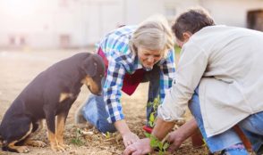 seniors-gardening-with-dog
